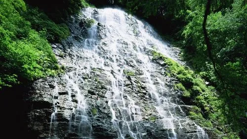 精密智慧